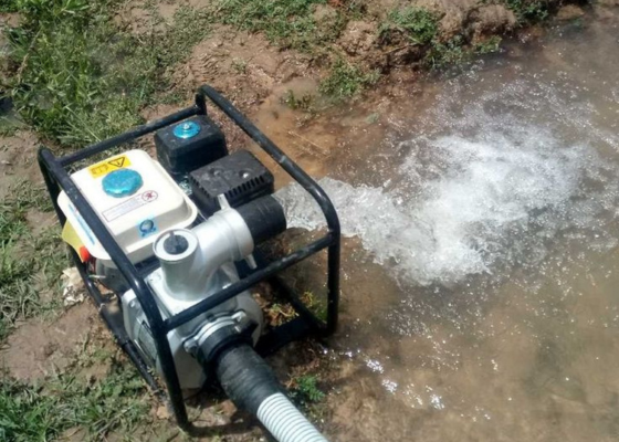 COMMERCIAL BOREWELL GROUNDWATER SURVEY
